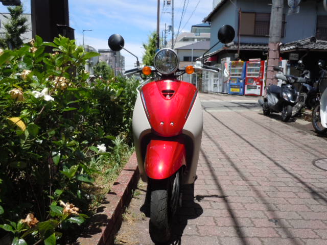 大阪府の中古車バイク